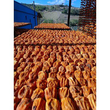 KOZAN 2025’TE DE ZİRVEYİ BIRAKMADI