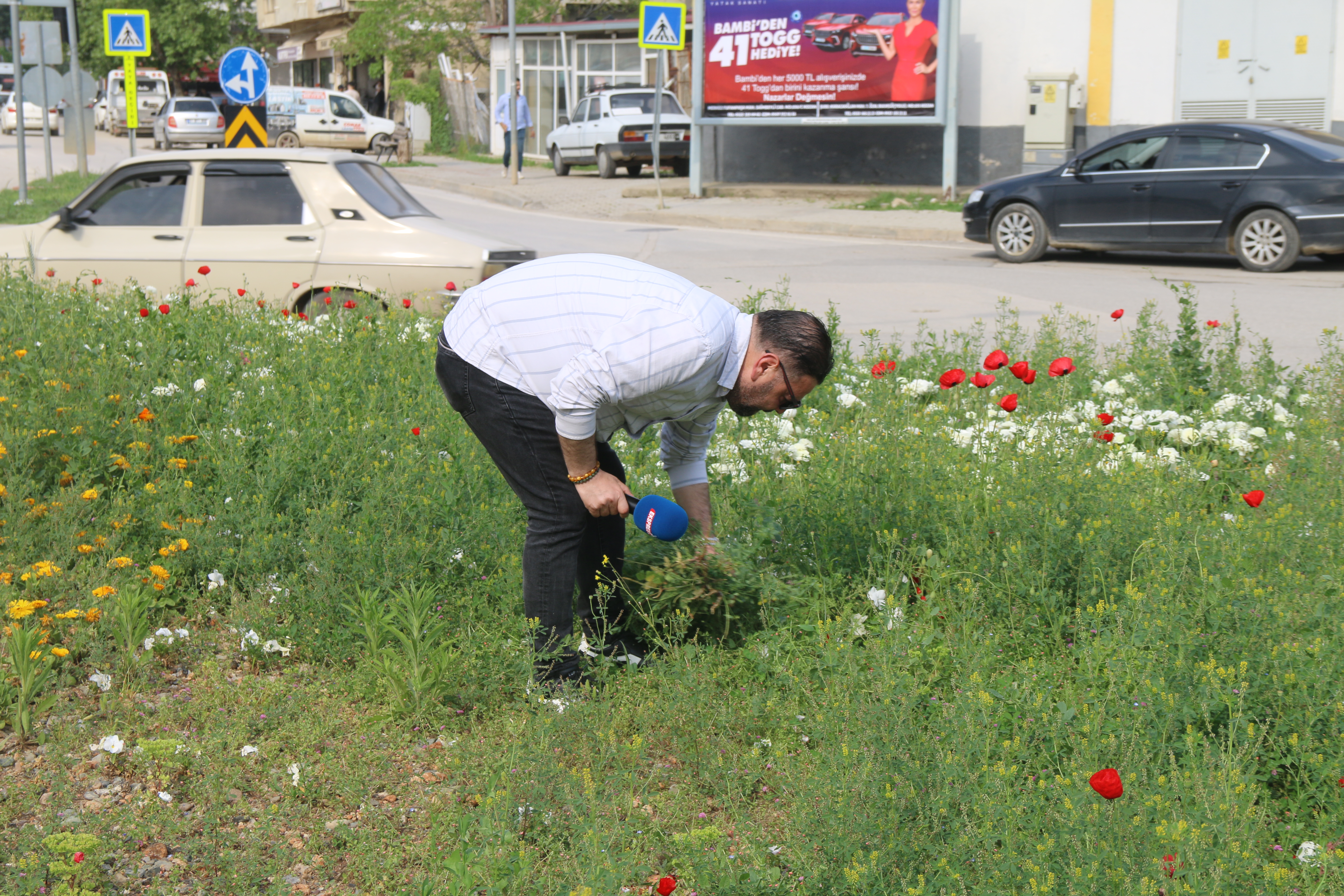 KAVŞAĞI OTLAR KAPLADI, İLGİLENEN YOK