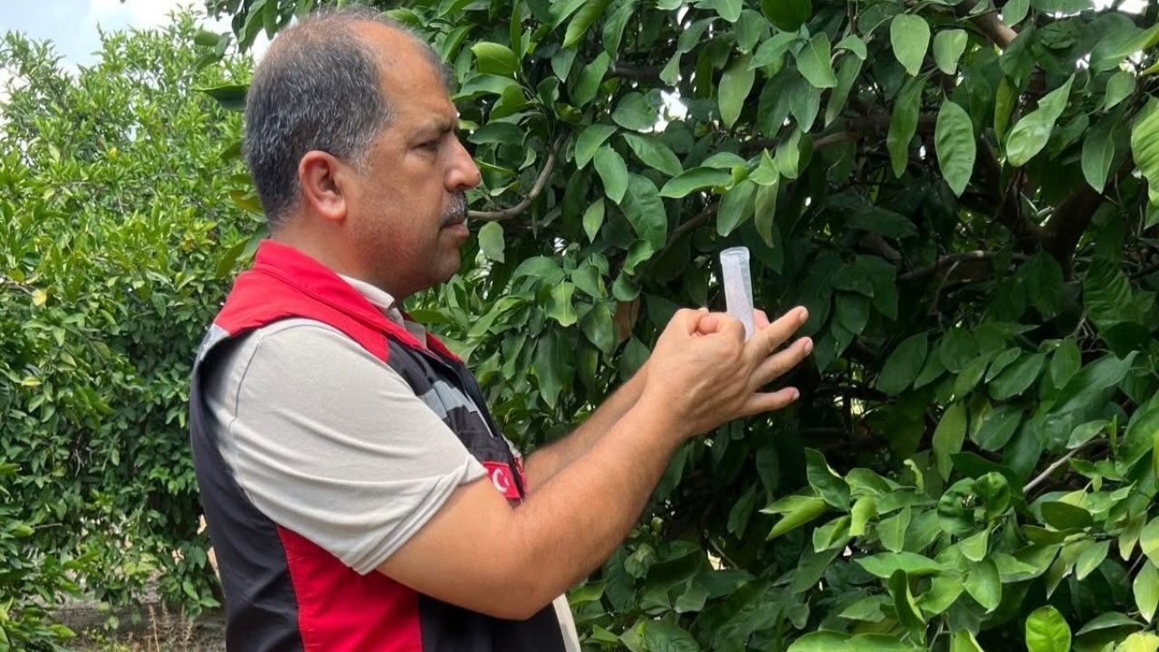 ZARARLILARA KARŞI 108 BİN ARI SALINDI